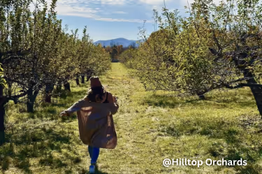 Hilltop Orchards