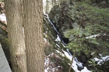 Stevens Glen (Richmond)