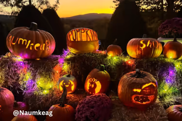 Naumkeag Pumpkin Show