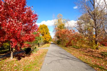 Ashuwillticook Rail Trail