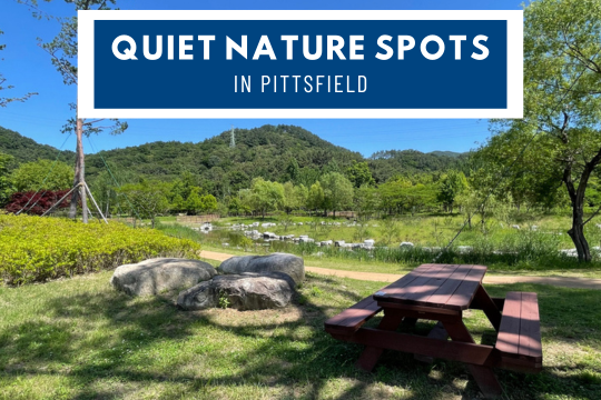 Quiet Nature Spots in Pittsfield