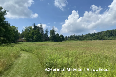 Herman Melville's Arrowhead