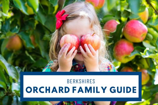 Berkshires Orchard Family Guide