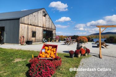 Balderdash Cellars