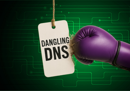 Customer story: Dangling DNS and Sub-domain Takeover