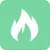 FHIR icon