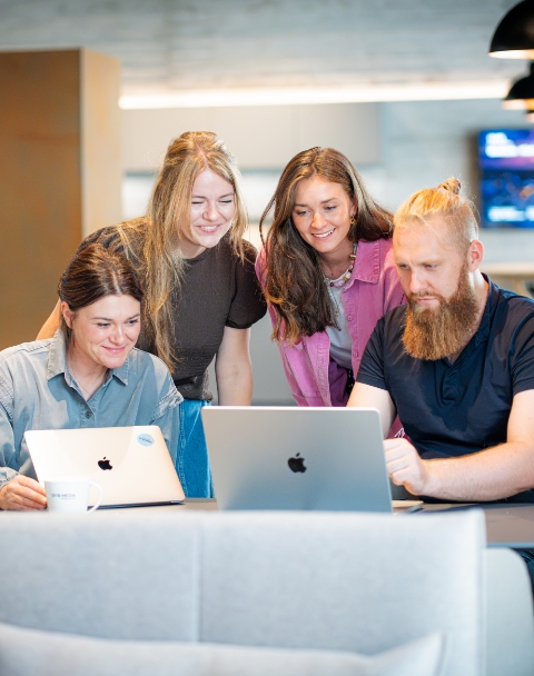 Team arbeitet gemeinsam am Laptop