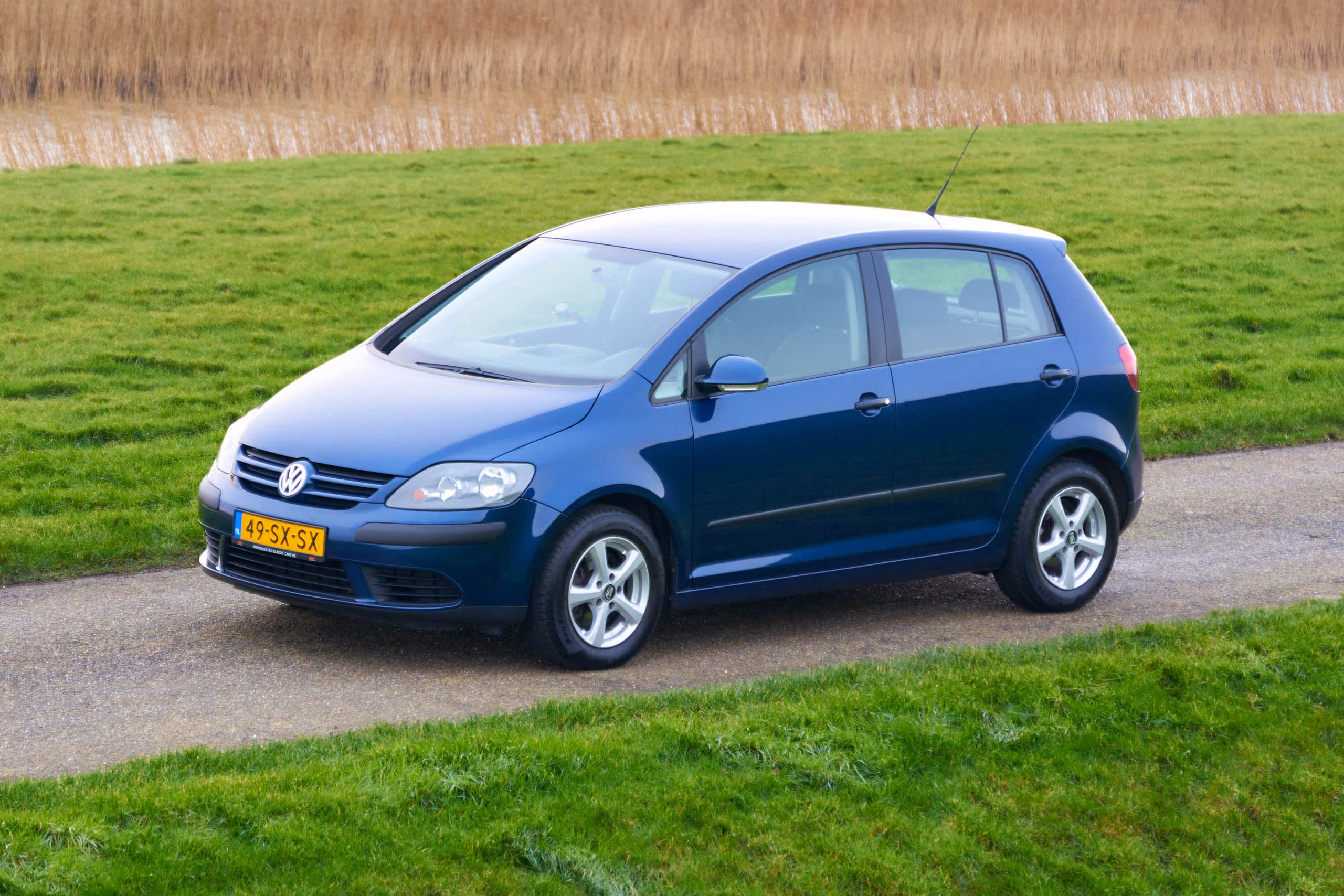 Volkswagen Golf Plus 1.6 FSI Trendline Business