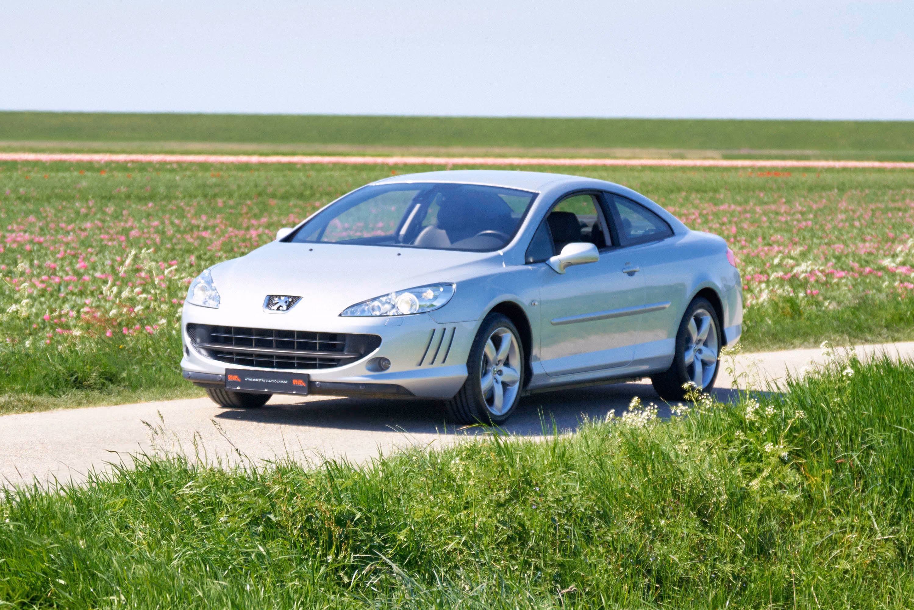 Peugeot 407 Coupe 3.0 V6 24v