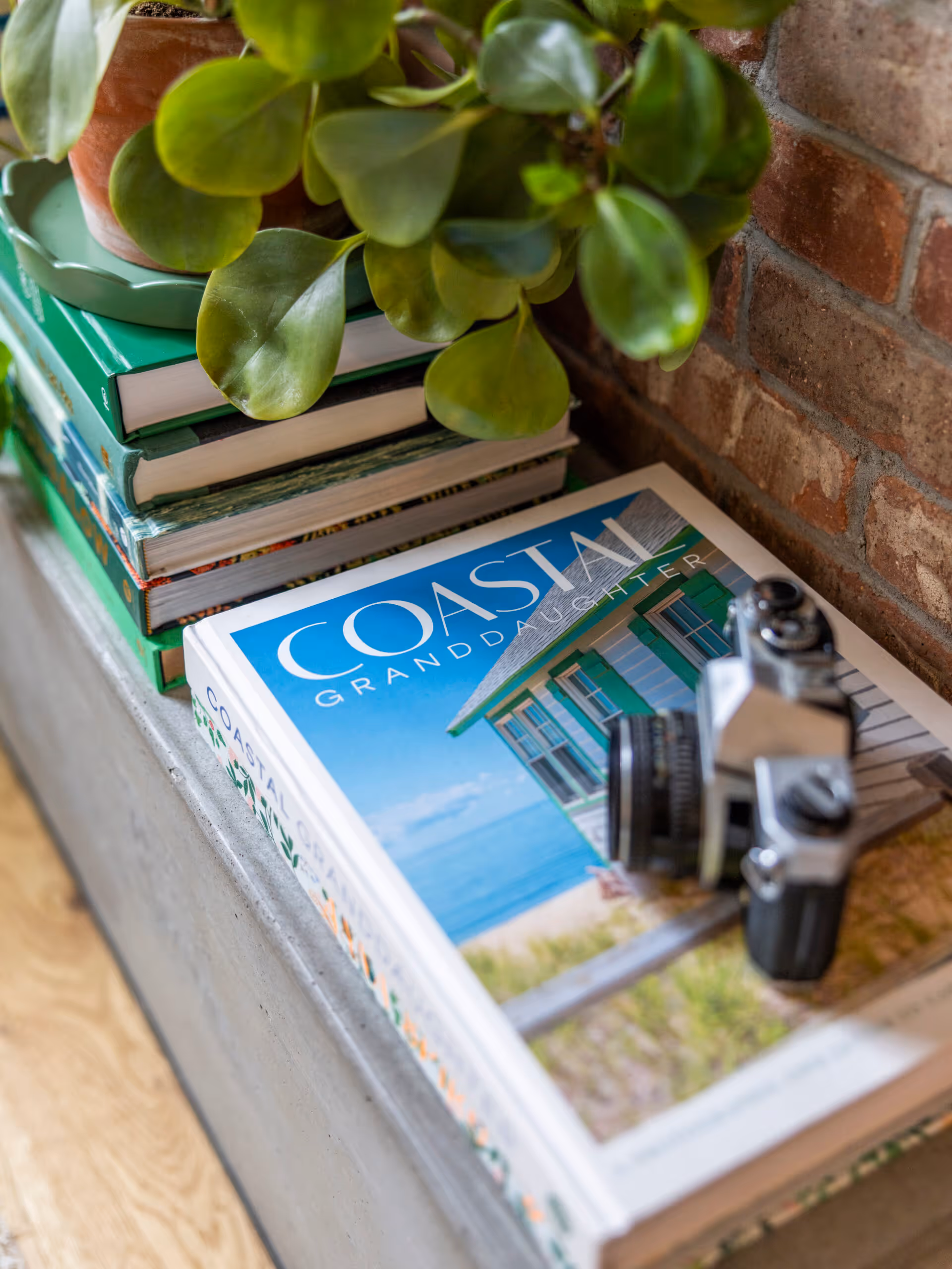 Stack of books on a concrete ledge next to a brick wall, topped with a potted plant and a vintage camera, including the book titled 'Coastal Granddaughter.'