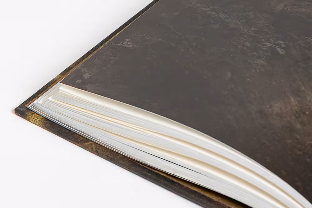 Close-up of the corner of Frankenstein special edition.