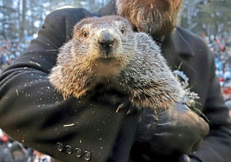 In this file photo, Groundhog Club co-handler A.J. Dereume holds Punxsutawney Phil during the 133rd celebration of Groundhog Day on Gobbler's Knob in Punxsutawney, Pa., on Saturday, Feb. 2, 2019.