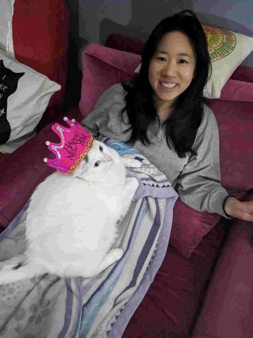 no power in the dark with cat.