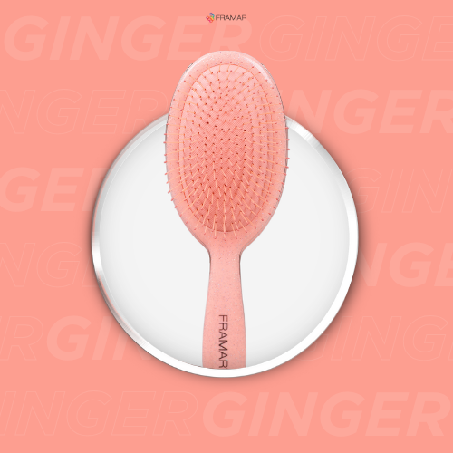 Framar Get Lukcy Detangle Brushes