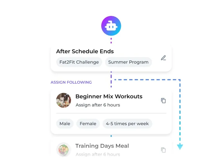 Flowchart showing after schedule ends for Fat2Fit Challenge and Summer Program, assign following Beginner Mix Workouts to male and female 4-5 times per week after 6 hours, then Training Days Meal assigned after 6 hours.