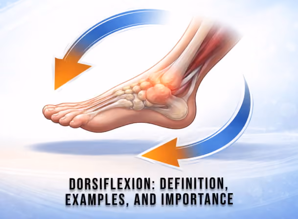 Dorsiflexion: Definition, Examples, and Why It Matters for Every Coach
