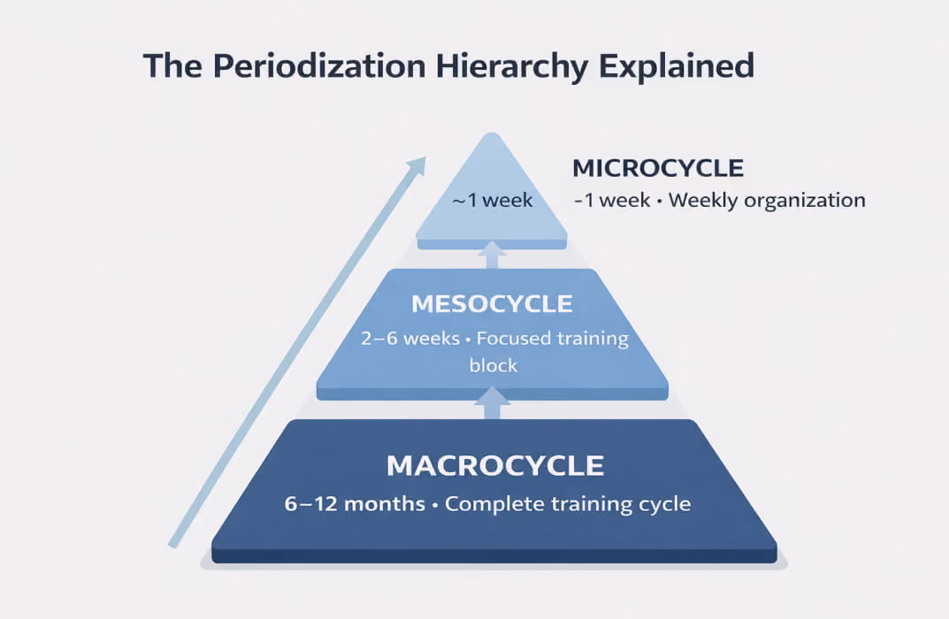 What Is a Mesocycle