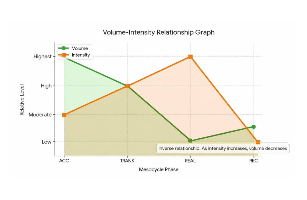 Types of Mesocycles in Training Programs