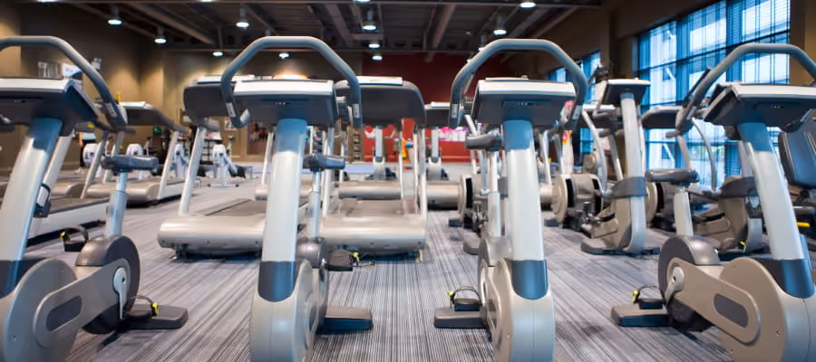 GYM EQUIPMENT