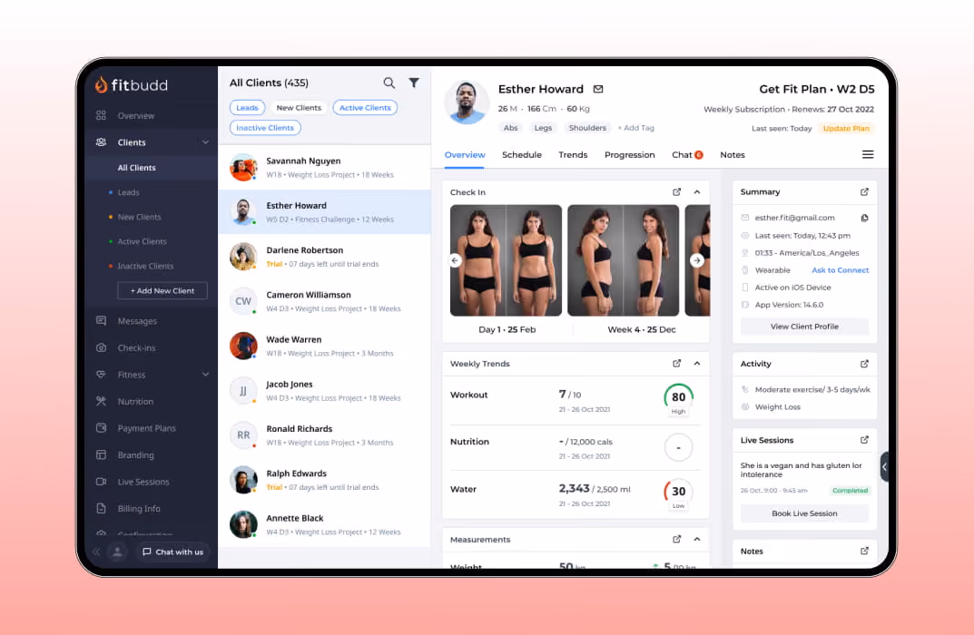 fitbudd interface