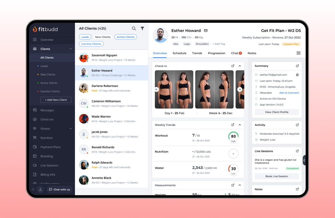 fitbudd interface