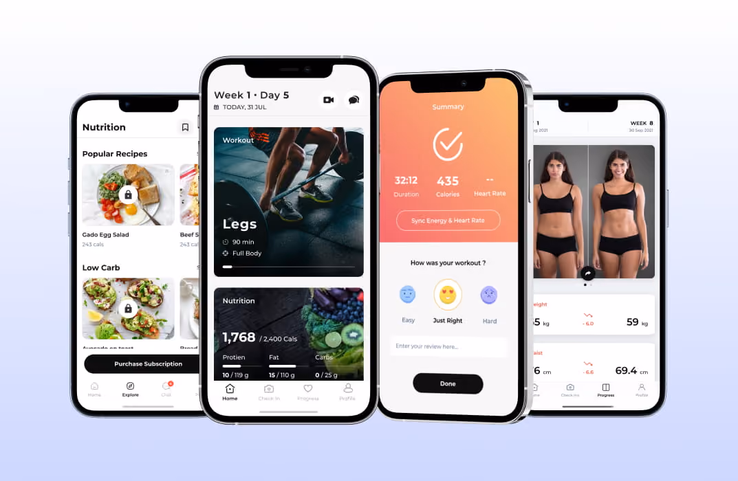 1. FitBudd