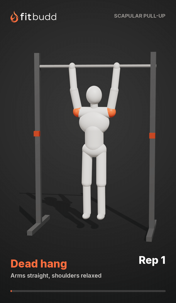 Scapular Pull Up