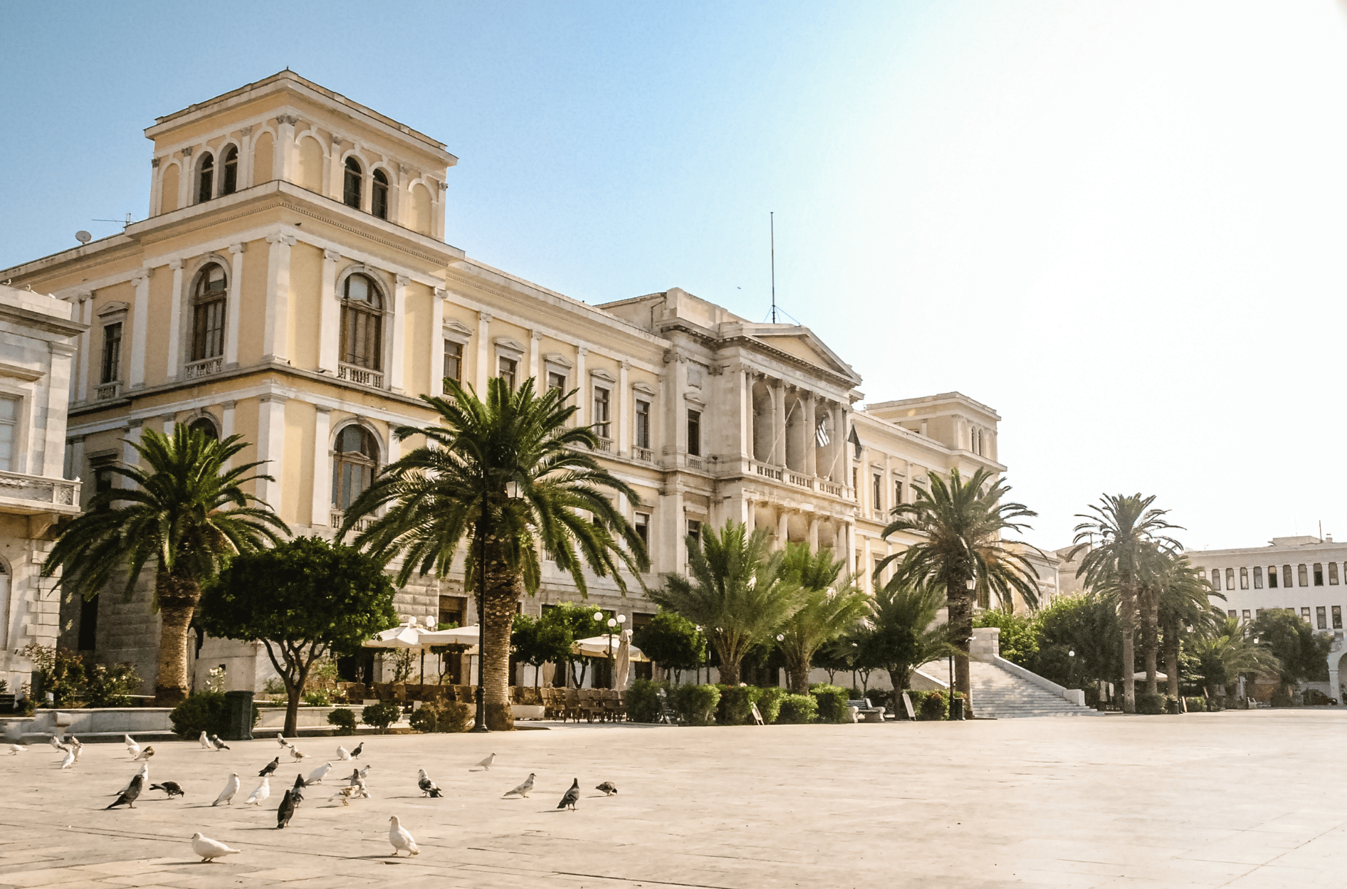  A grand, yellow neo-classical building with tall windows and a portico with columns stands on the far side of a large, sunny, paved square. Several tall palm trees are in front of the building, and a flock of pigeons is scattered across the square in the foreground.