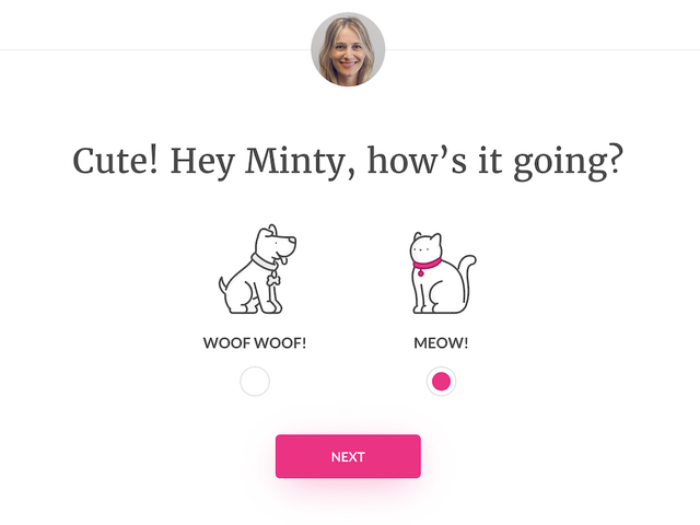 Lemonade conversational lead capture form example