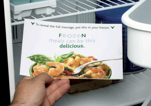 Knorr freezer mailer lead generation campaign example