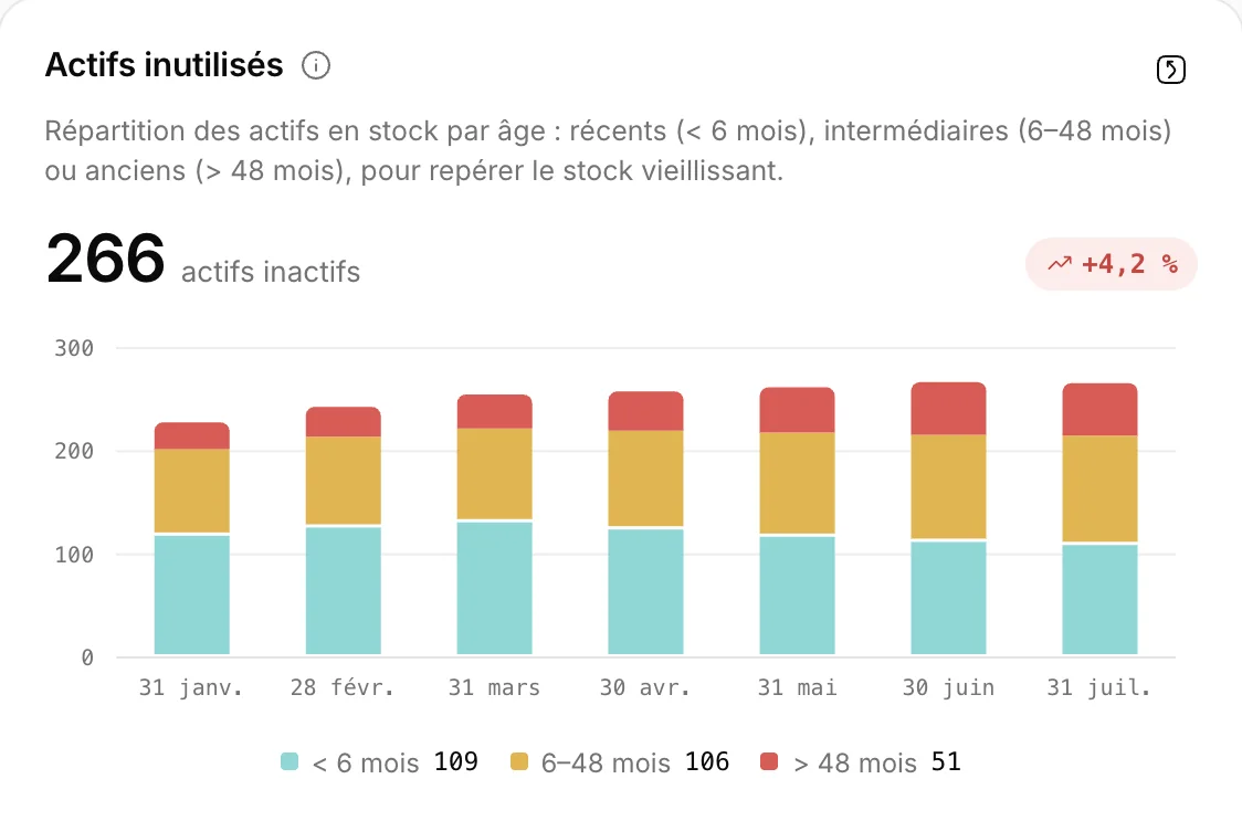 Actifs inutilisés par ancienneté : 266 actifs