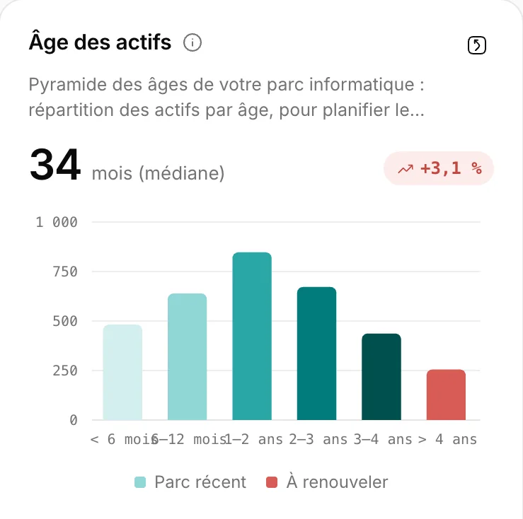 Âge des actifs : 34 mois en médiane