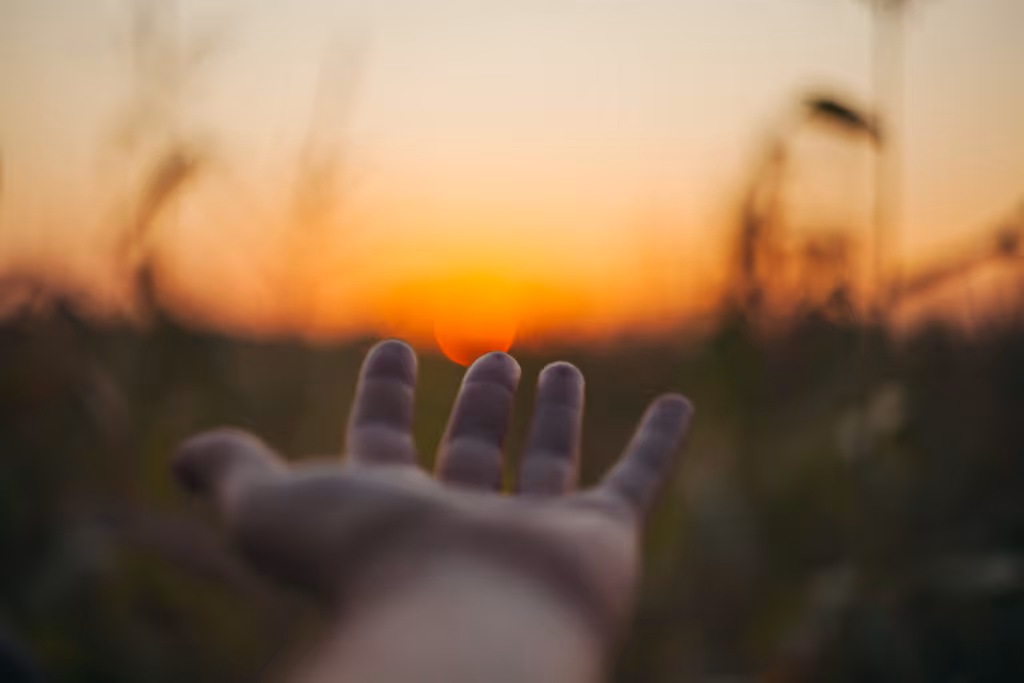 helpself legal automation
