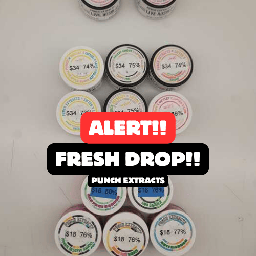 Punch: New Extracts Have Dropped!