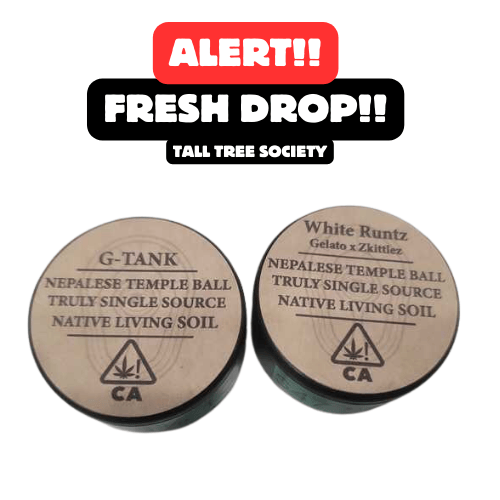 Tall Tree Society Temple Ball & White Runtz Variants!