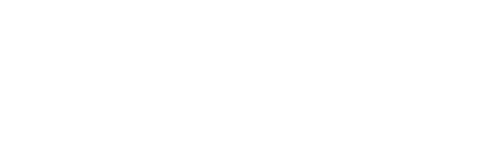 Next Payments Logo