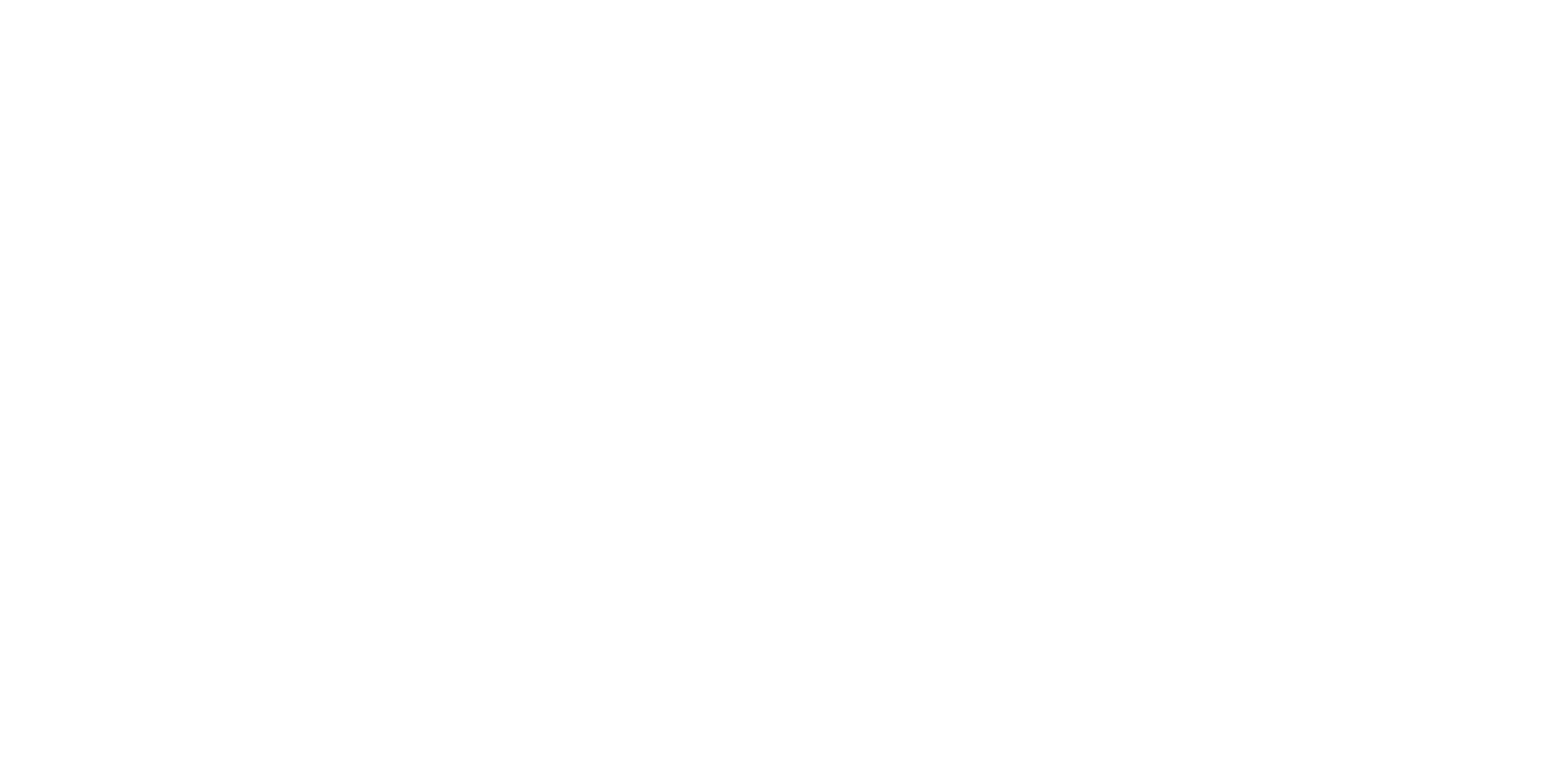 Next Payments Logo