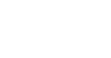 Next Payments Logo