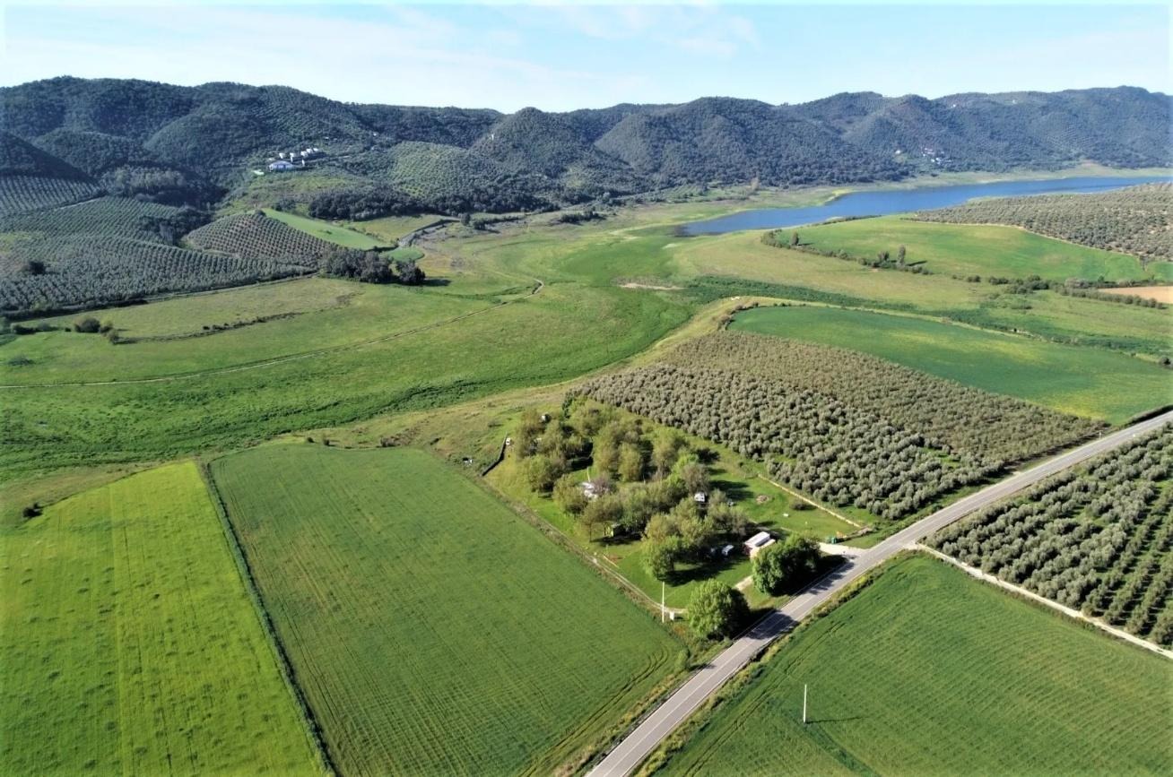 Imatge que conté gespa, a l’aire lliure, cel, muntanyaPot ser que el contingut generat per IA no sigui correcte.