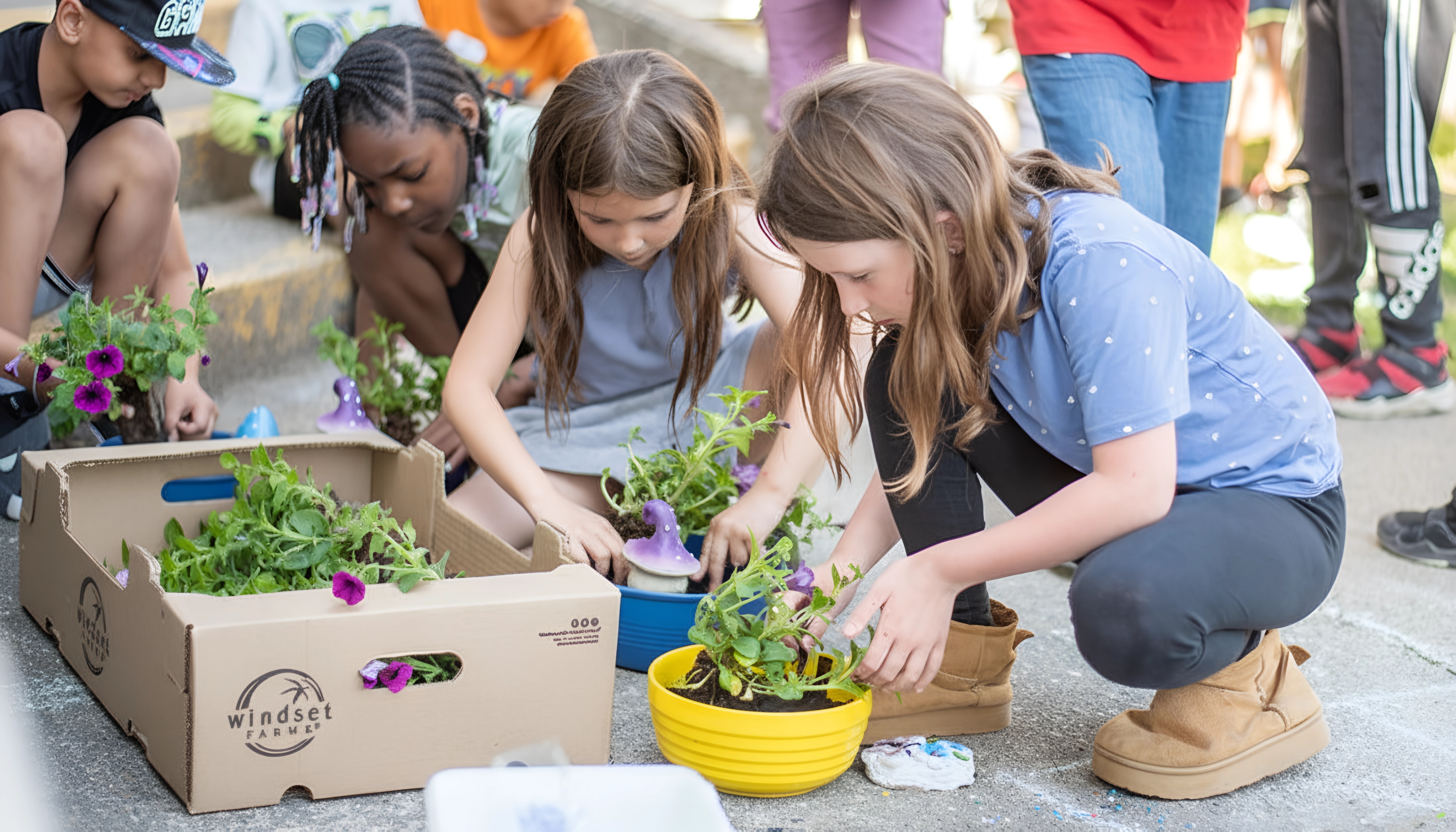 Children planting flowers in colorful pots outdoors with a cardboard box labeled Windset Farms nearby.