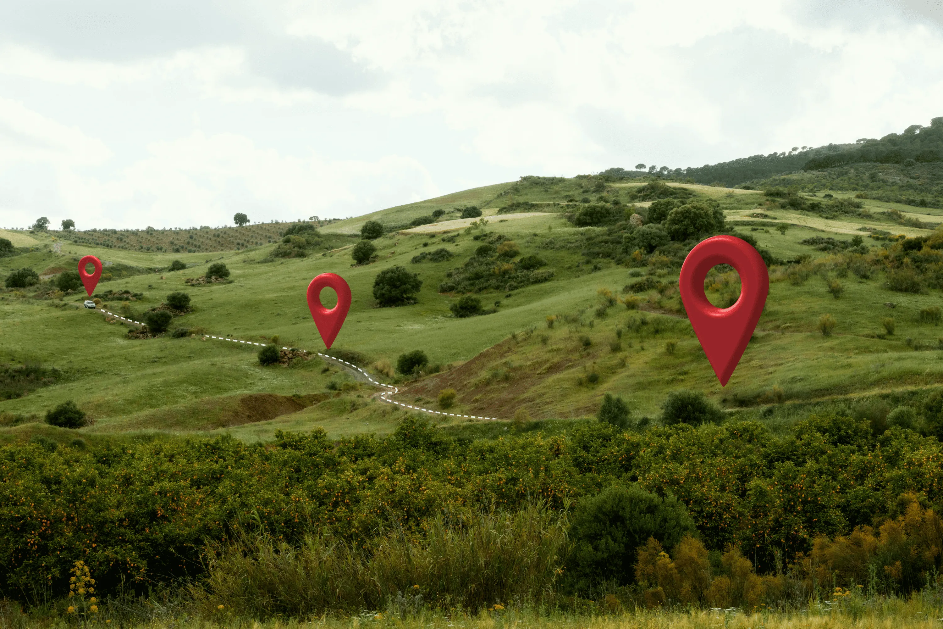 Geolocation icons across a field