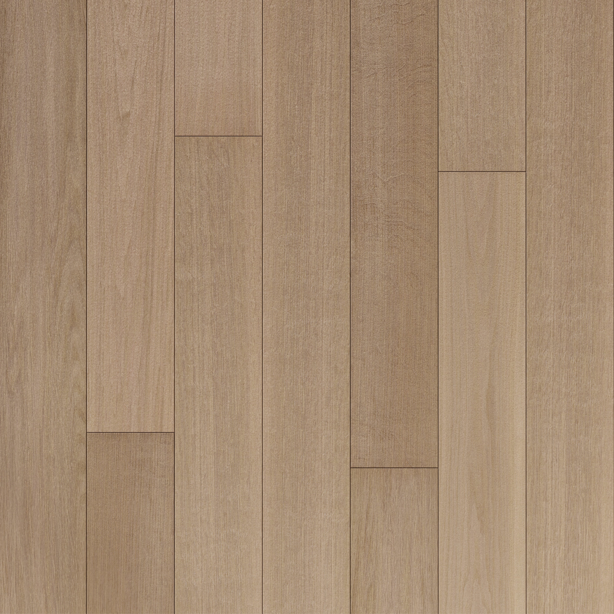Merino