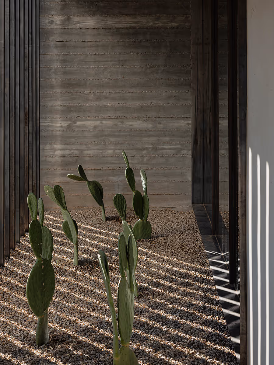 cactus garden at a modern desert house in Phoenix by The Ranch Mine