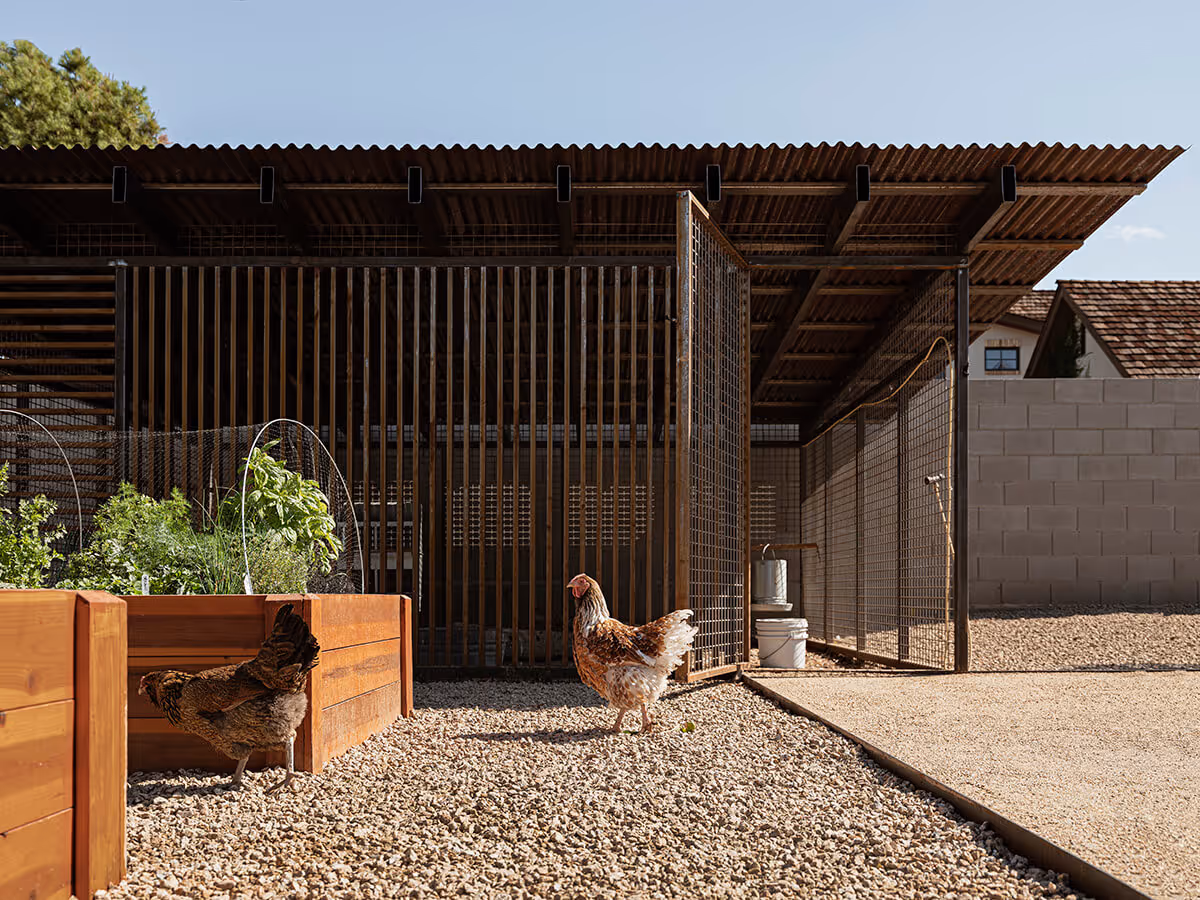 modern chicken coop by The Ranch Mine