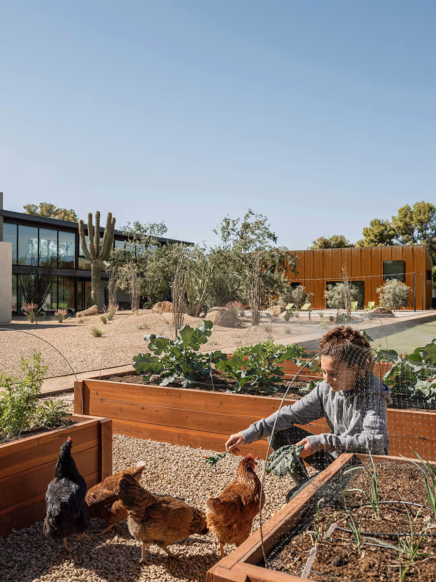 raised garden at a modern desert house in Phoenix by The Ranch Mine