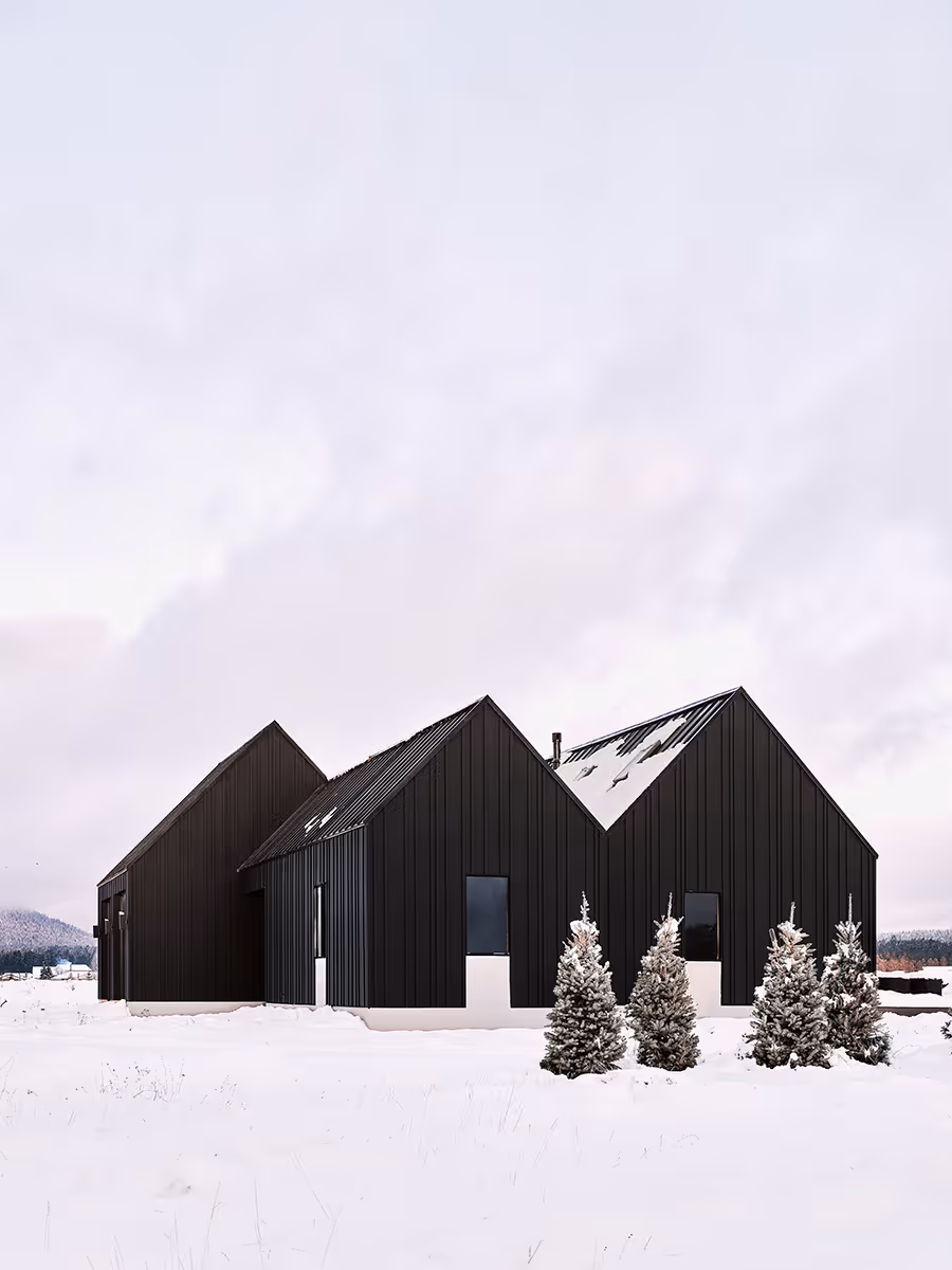Modern Scandinavian black exterior house with gabled roofs in Flagstaff, Arizona by The Ranch Mine in the snow