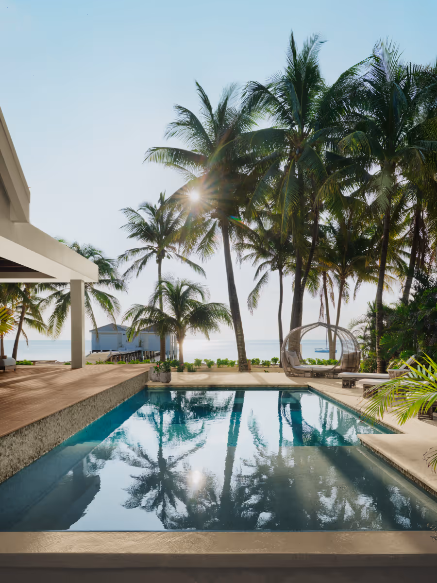 Pool overlooking the ocean and palm trees at a tropical modern house in Belize by The Ranch Mine