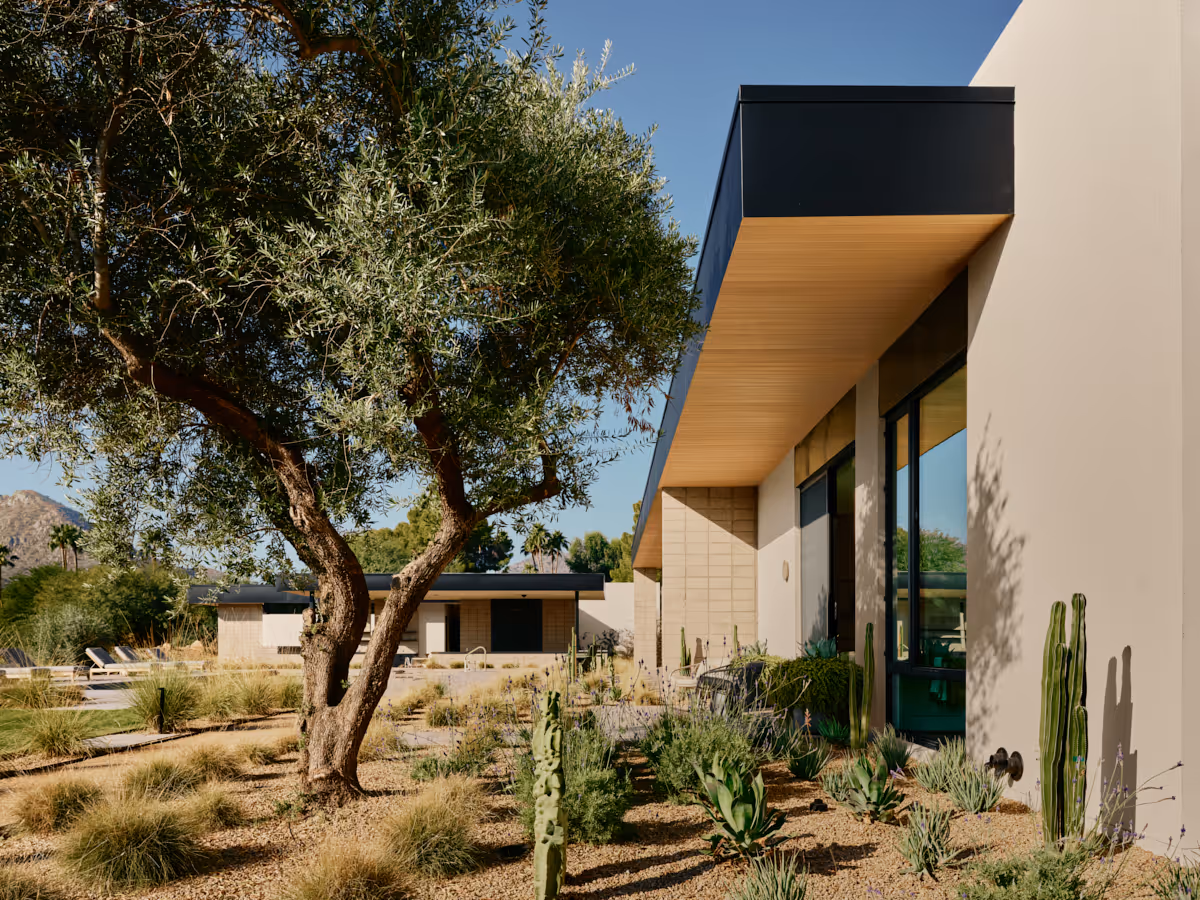 desert landscape  at Full Circle, a multigenerational new build compound in Paradise Valley, Arizona by The Ranch Mine