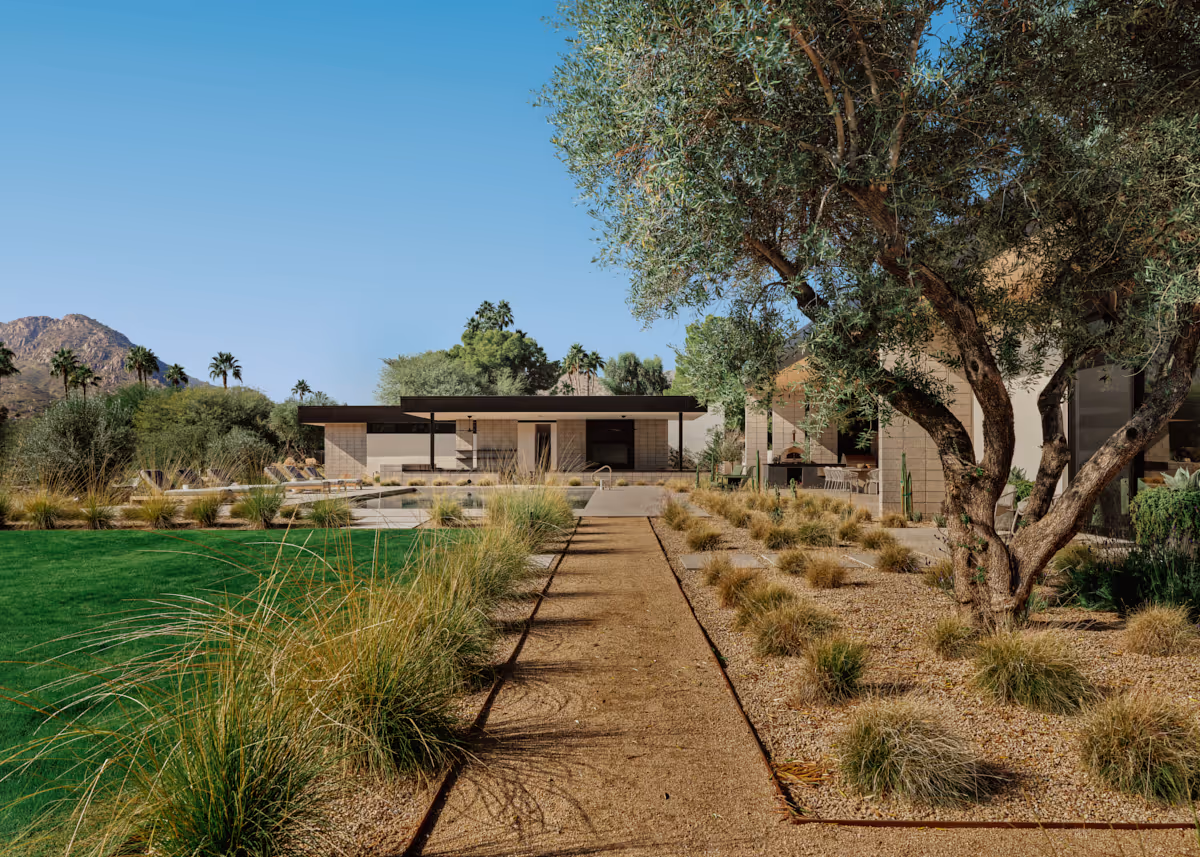 backyard  at Full Circle, a multigenerational new build compound in Paradise Valley, Arizona by The Ranch Mine