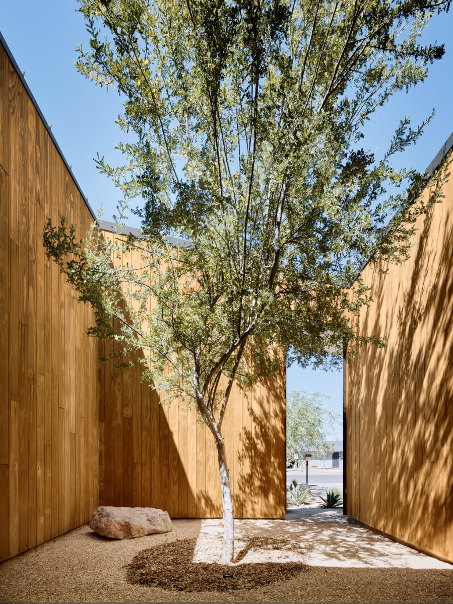 a courtyard with wood siding and a tree